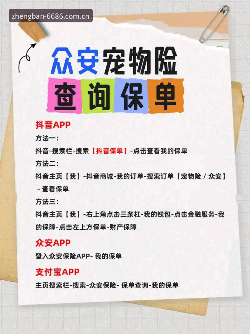 官方下载 6686官方下载 vs 第三方渠道:体育App正版体验的全面对比与创新选择