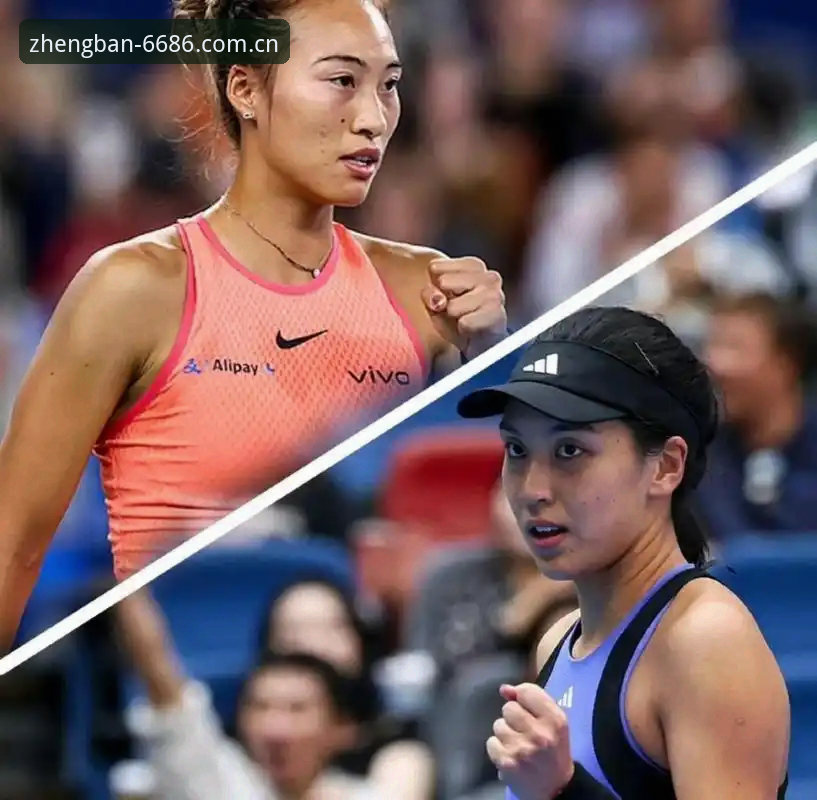 安装步骤功能详解 法网女单抽签出炉:郑钦文vs保分压力,王欣瑜vs塔格尔,谁更值得期待?
